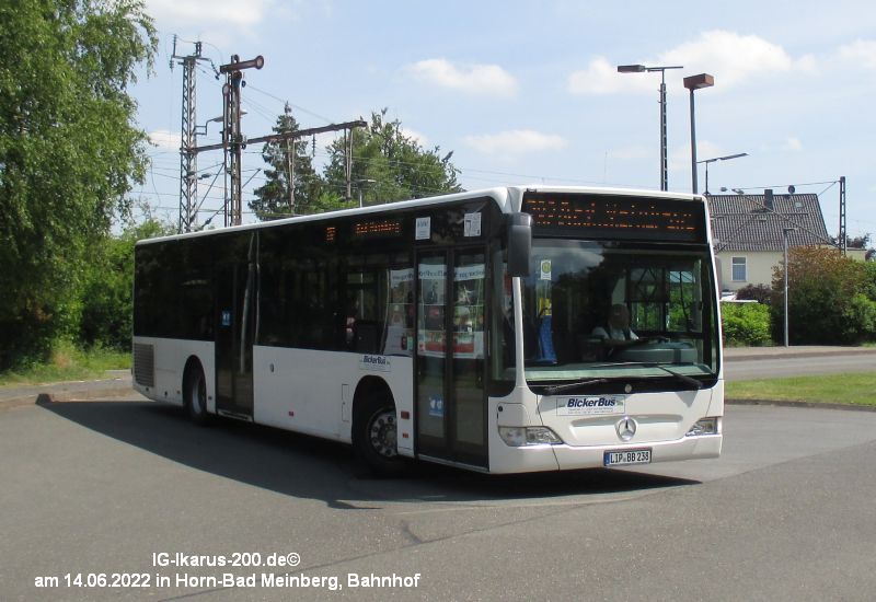 LIP-BB 238